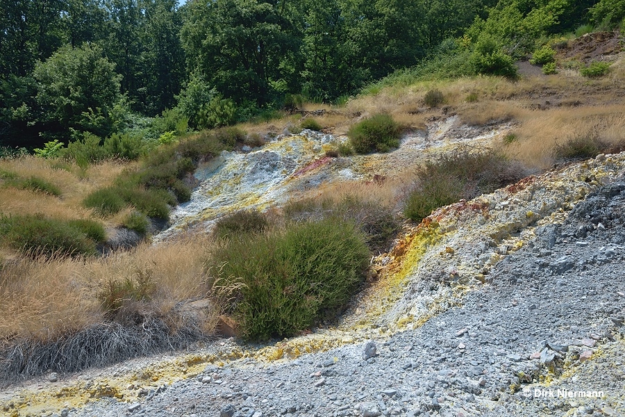 Sulfur, Parco delle Fumarole