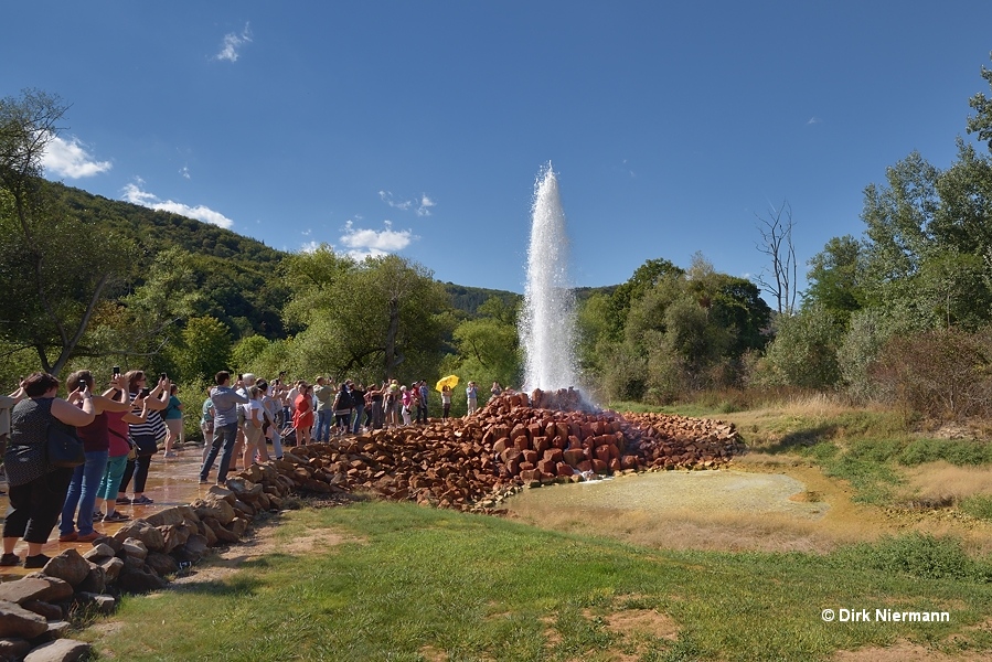 Geysir von Andernach