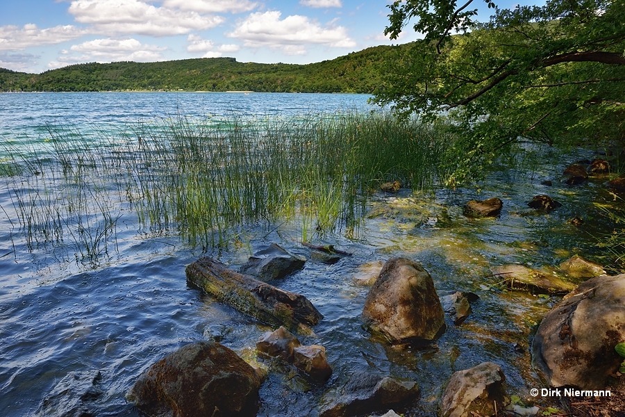 Mofette at Laacher See