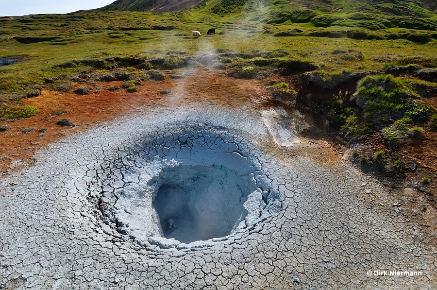 Mud Pot Bæjarfjall Þeistareykir Iceland