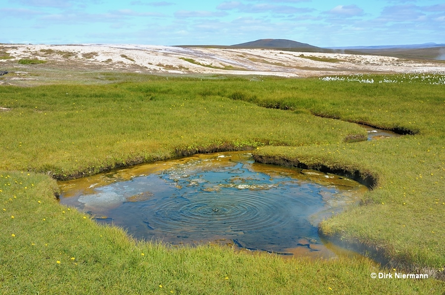 Mýrarhver Hot Spring Hveravellir Iceland