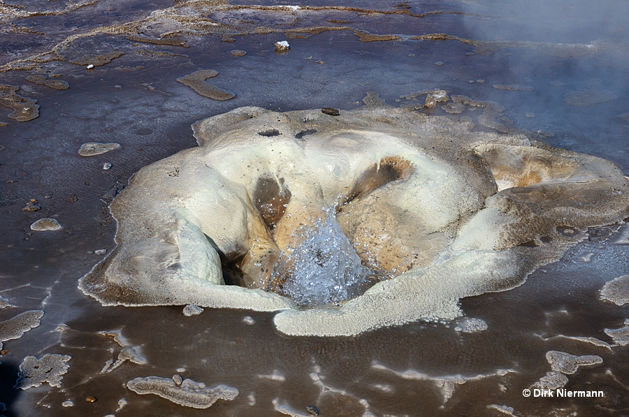 Eyvindarhver Hot Spring Geyser Hveravellir Iceland