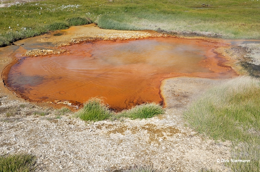 Rauðihver Hot Spring Hveravellir Iceland