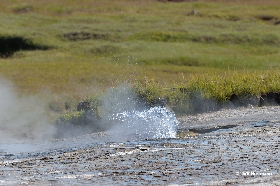 Nýi Strokkur Hot Spring Geyser Hveravellir Iceland