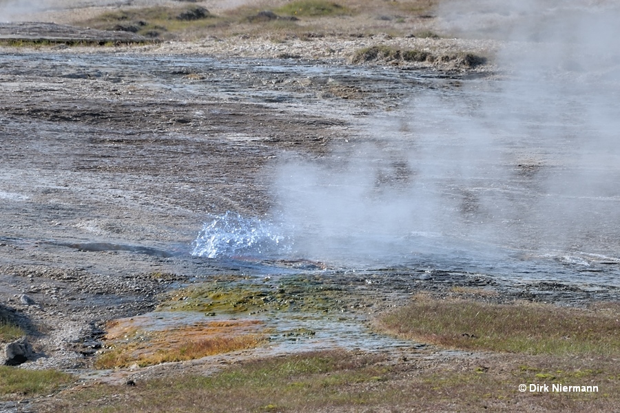 Nýi Strokkur Hot Spring Geyser Hveravellir Iceland