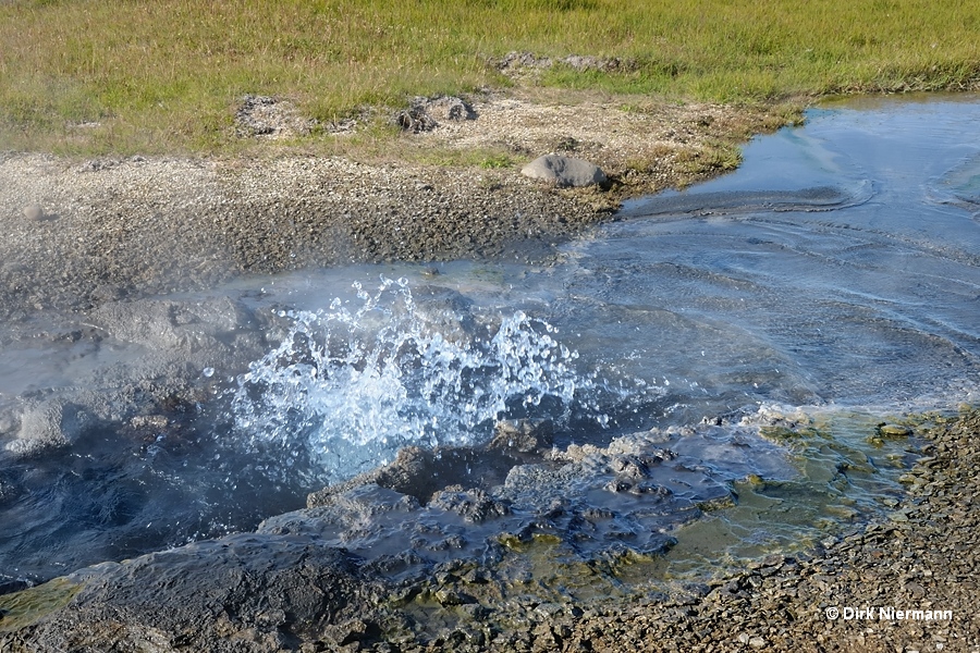 Hot Spring Geyser Hveravellir Iceland