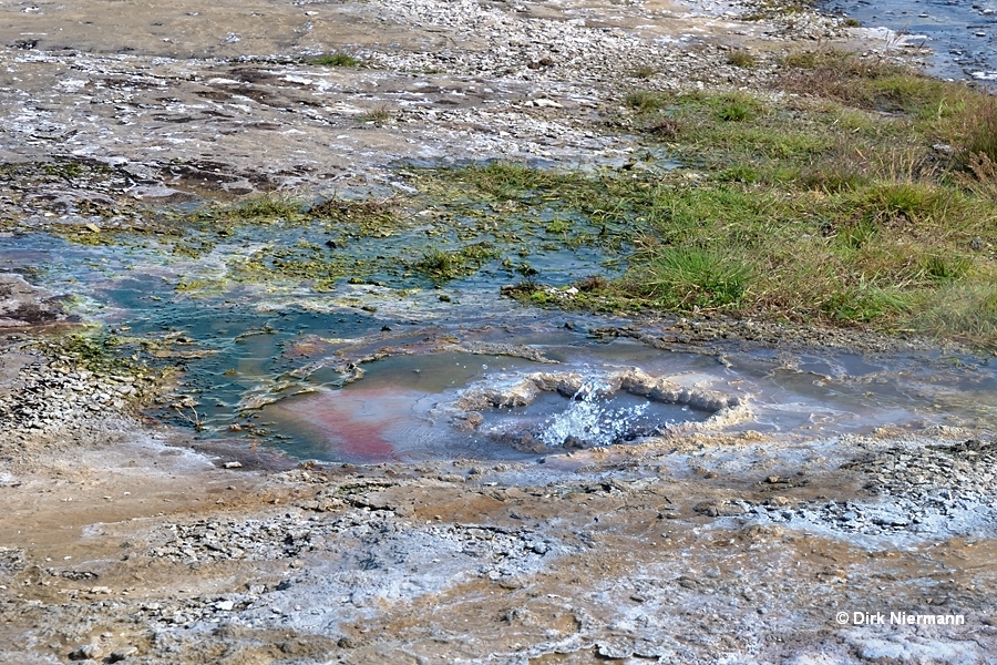 Hot Spring Geyser Hveravellir Iceland