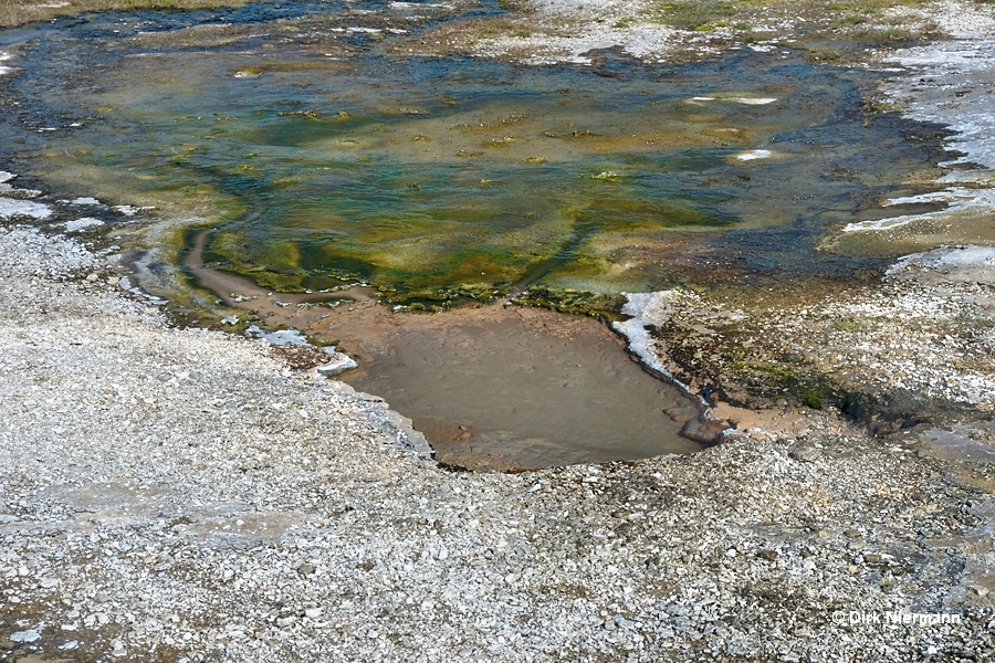 Hot Spring Geyser Hveravellir Iceland