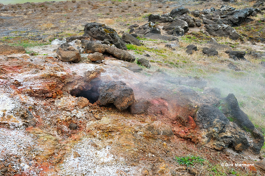 Fumarole Kísilhóll Gunnuhver Iceland