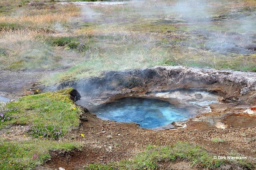 Àlfaauga geyser Þykkvuhverir Haukadalur Iceland