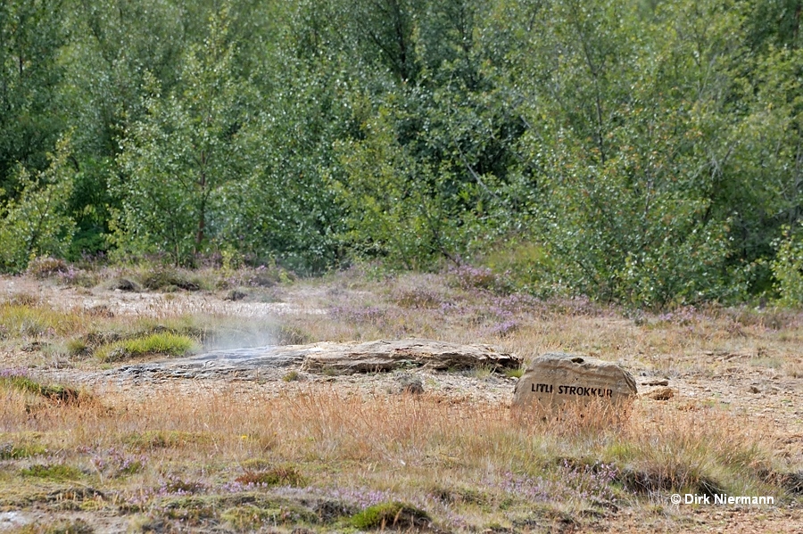 Litli Strokkur Geyser Þykkvuhverir Haukadalur Iceland