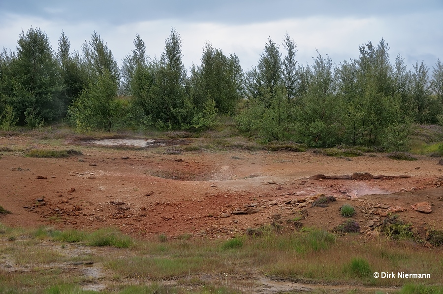 Móri mud pot Þykkvuhverir Haukadalur Iceland