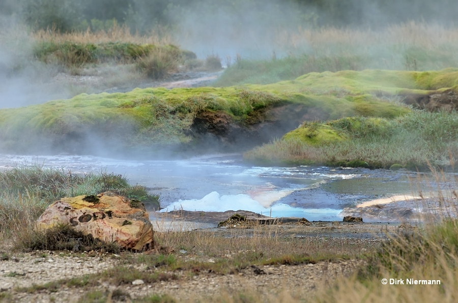 Sóði Geyser Þykkvuhverir Haukadalur Iceland