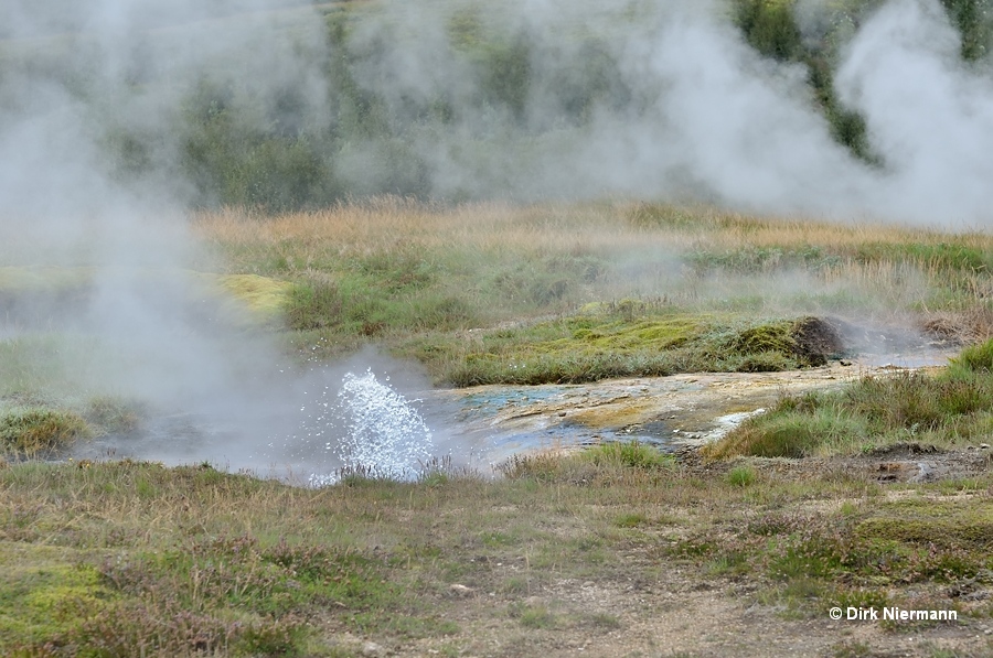 Hot Spring Þykkvuhverir Haukadalur Iceland