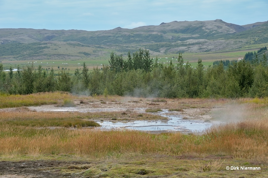 Hot Spring Haukadalur Iceland