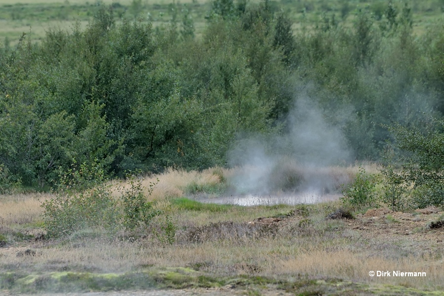 Vigdísarhver hot spring Þykkvuhverir Haukadalur Iceland