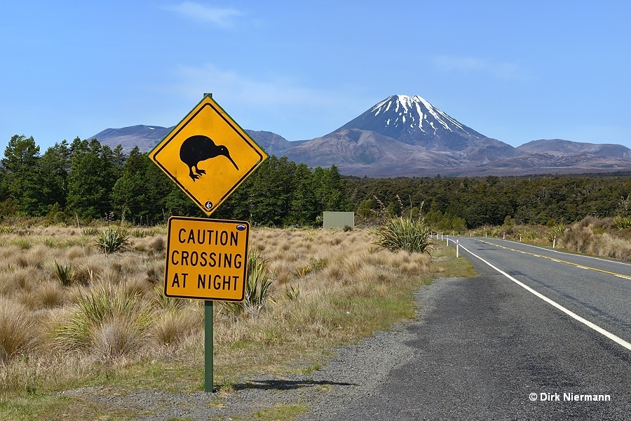 Mount Ngauruhoe and Kiwi