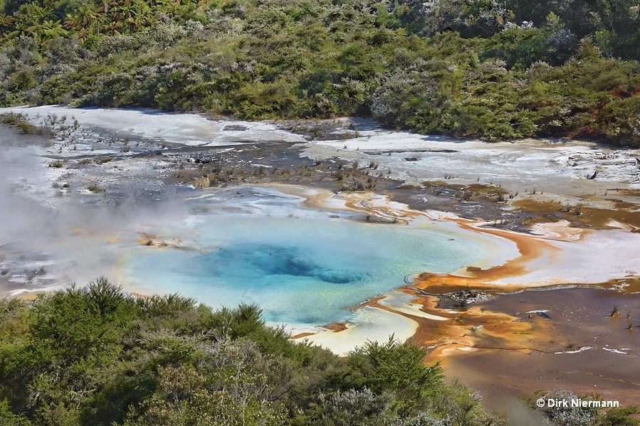 Artist's Palette Pool