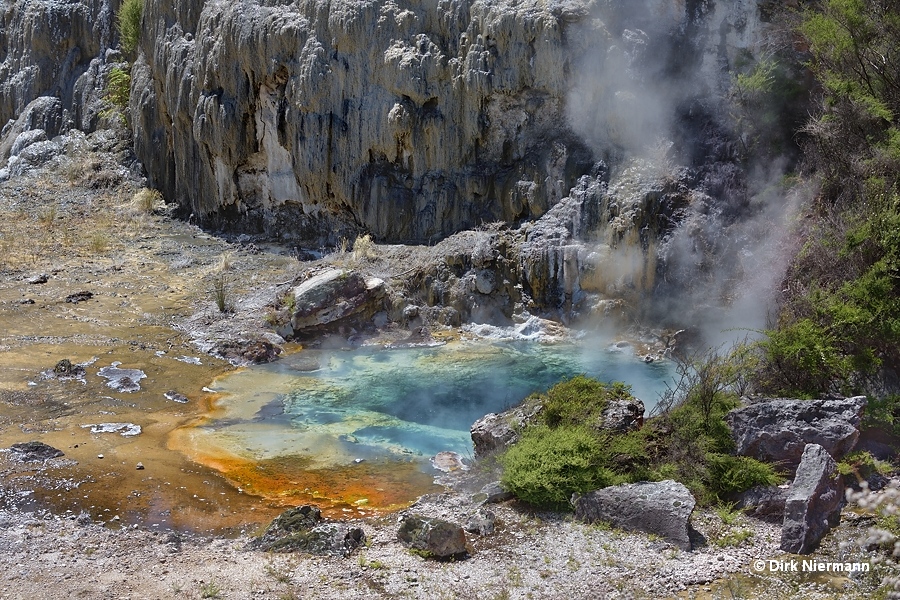 Cauldron Geyser