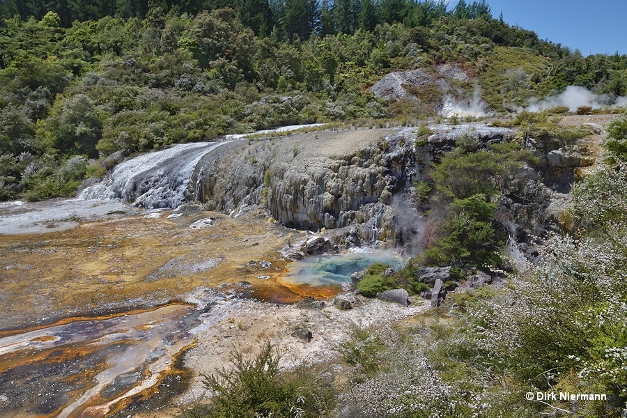 Golden Fleece Terrace