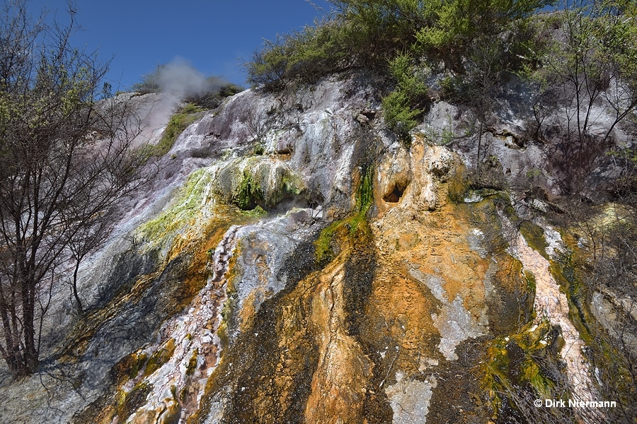 Tim and Terry Geyser