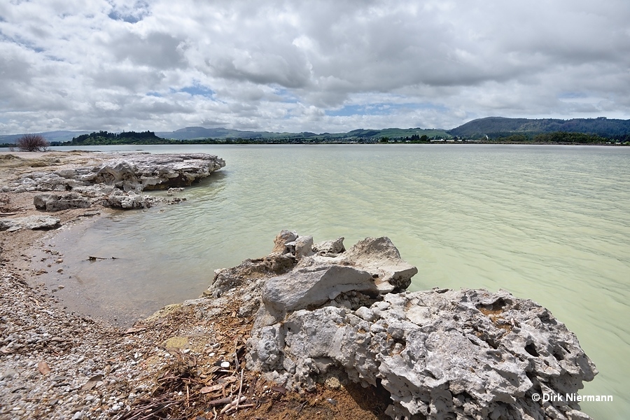 Sinter deposits at Lake Rotorua