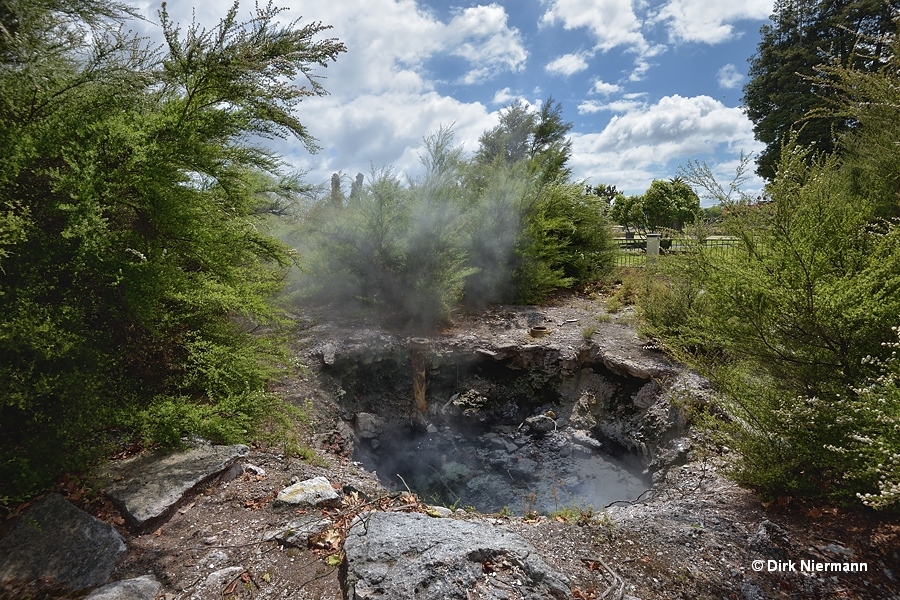 Malfroy's Geyser