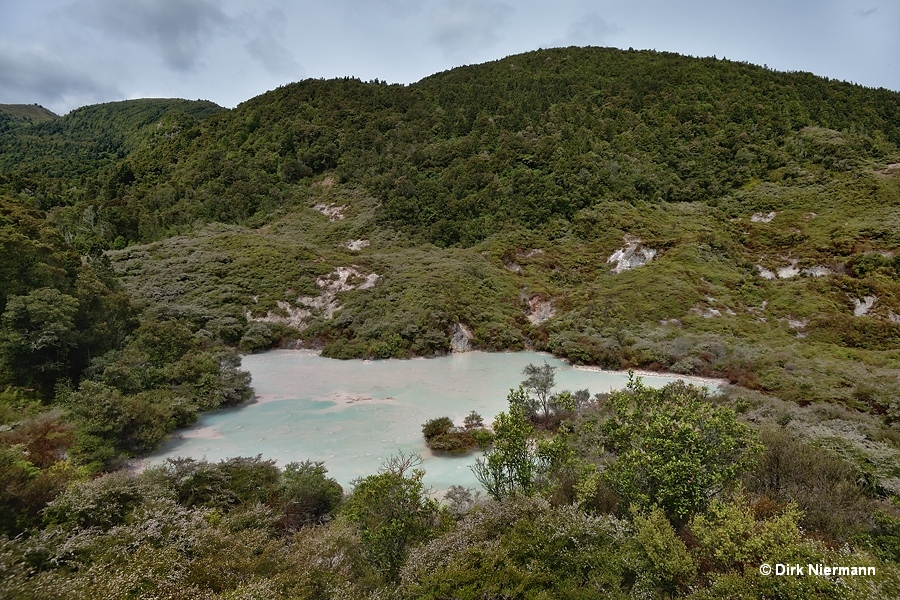 Te Kopia eastern mud pool