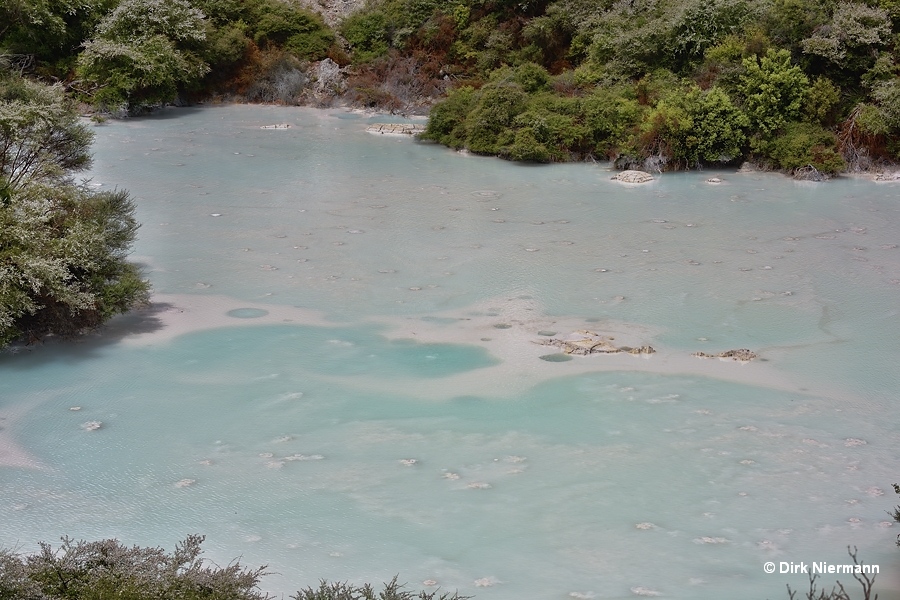 Close-up of eastern mud pool