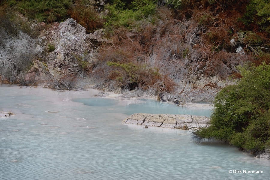 Rim of eastern mud pool