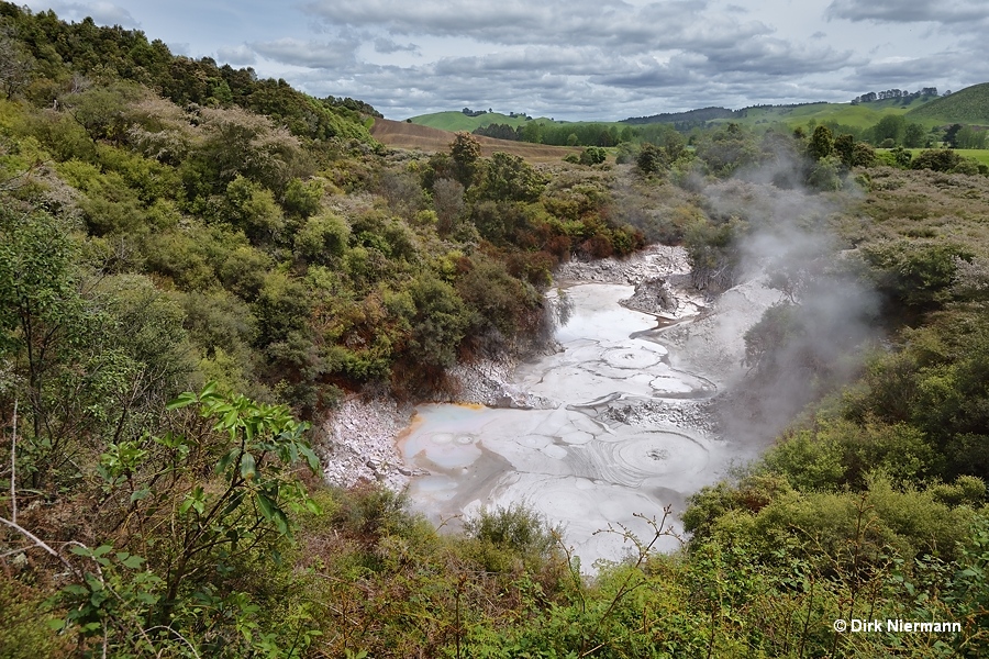 Te Kopia northern mud pool