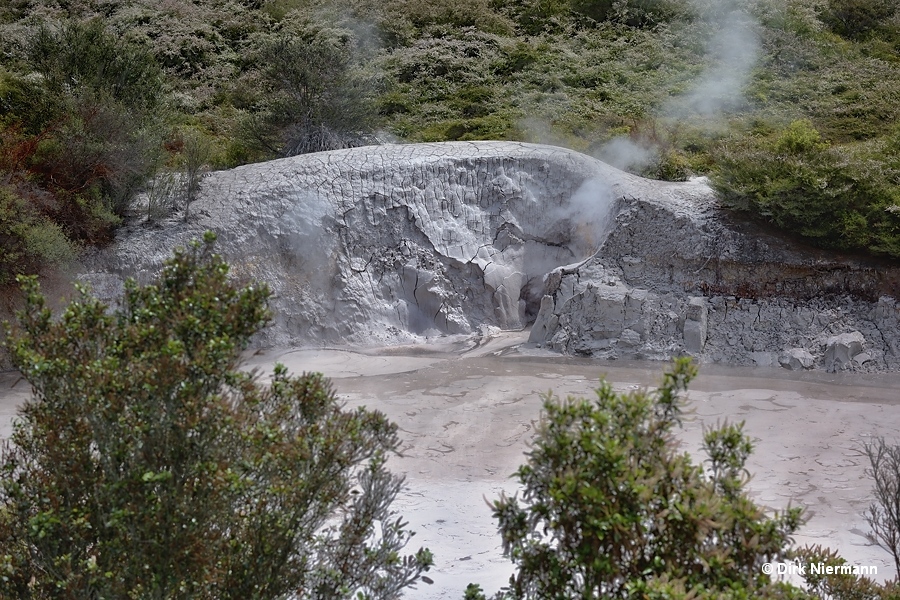 Te Kopia Mud Geyser