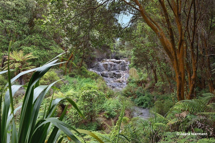 Kakahi Falls