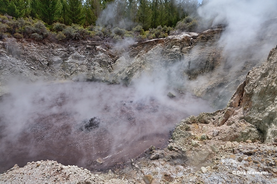 Steaming Cliffs