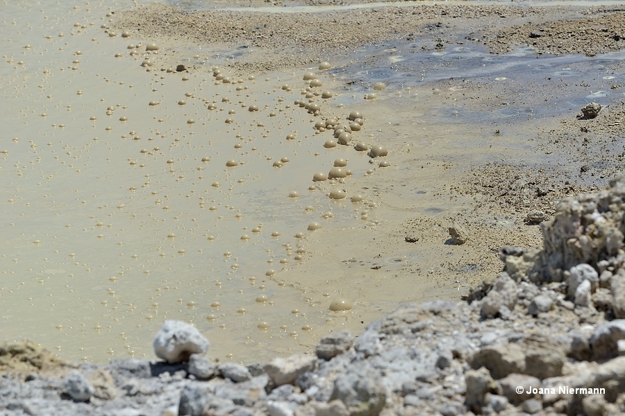 Gas bubbles on Sulphur Bath