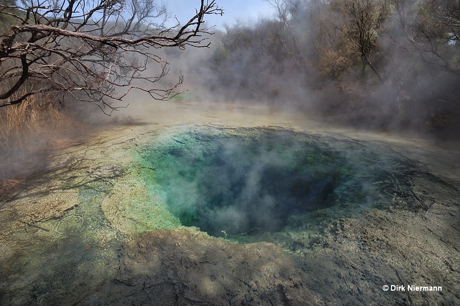 Tokaanu Hoani Spring