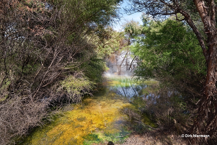 Tokaanu Matewai Spring