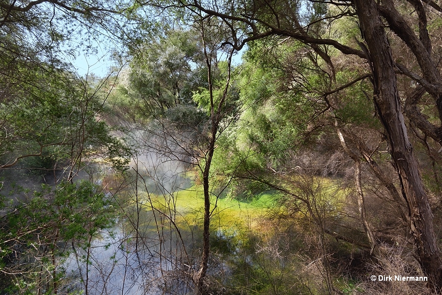 Tokaanu Matewai Spring