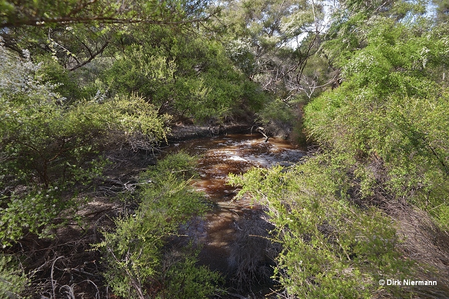 Tokaanu mud pools