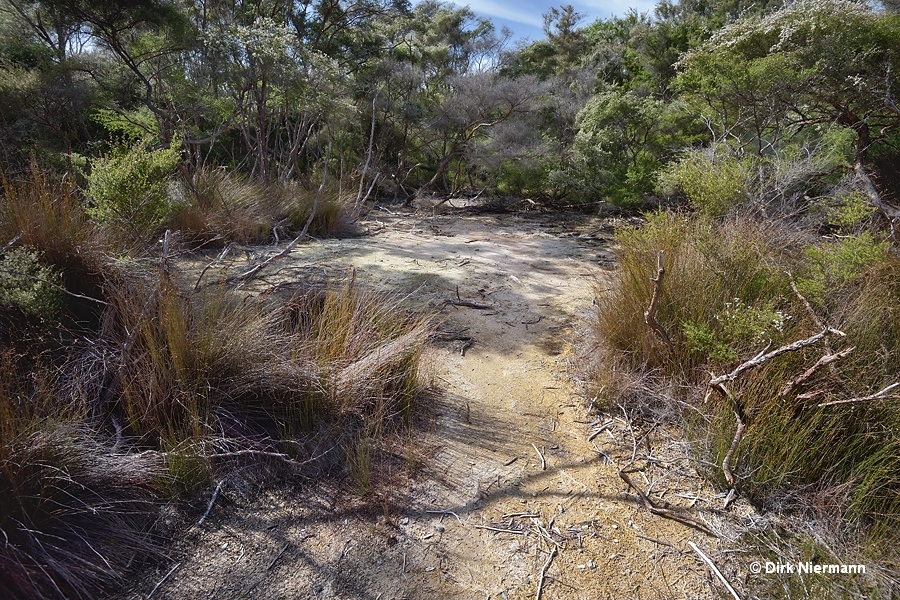 Tokaanu mud volcanoes