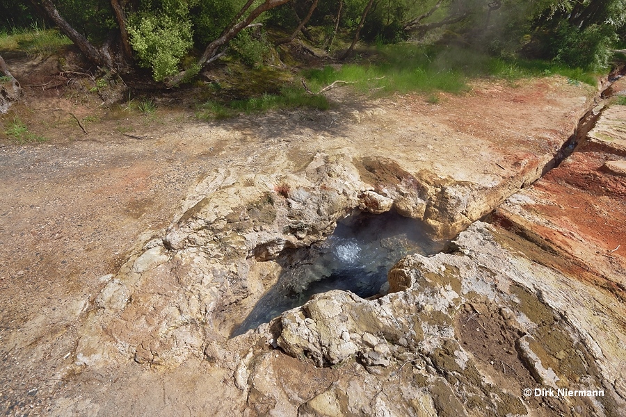 Taumatapuhipuhi Geyser