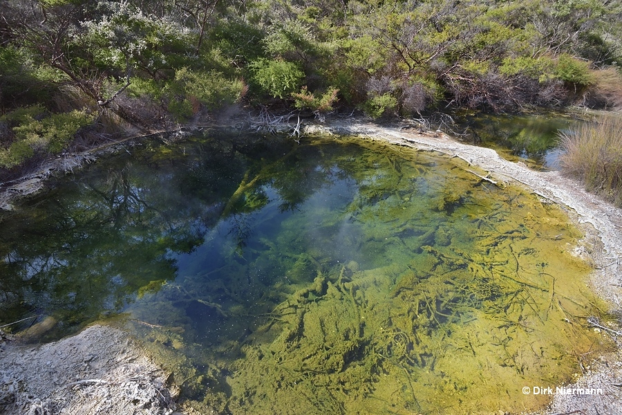 Te Paenga eastern pool
