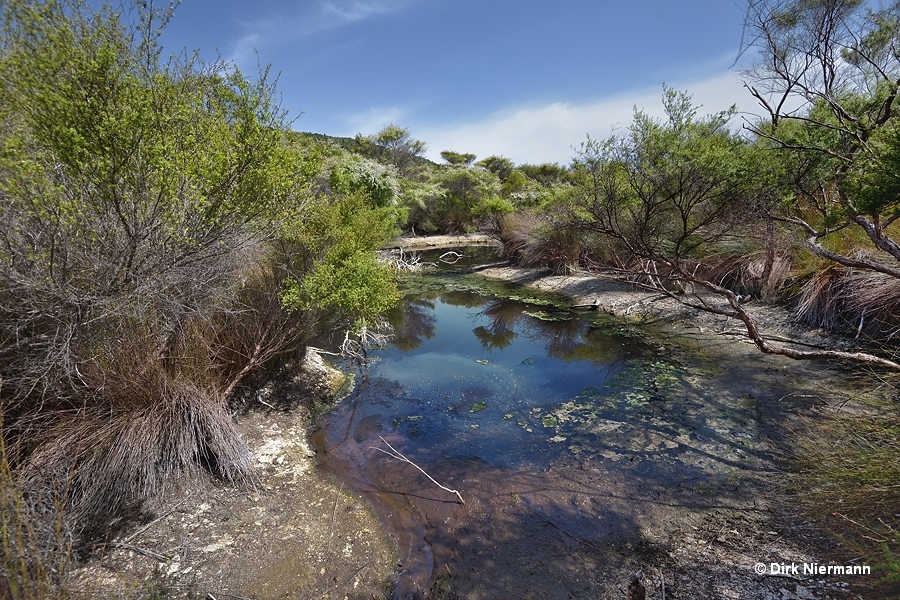 Toretiti Pool