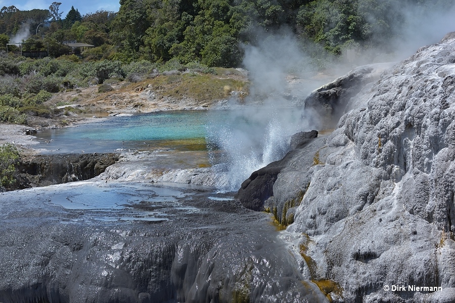 Kererū Geyser