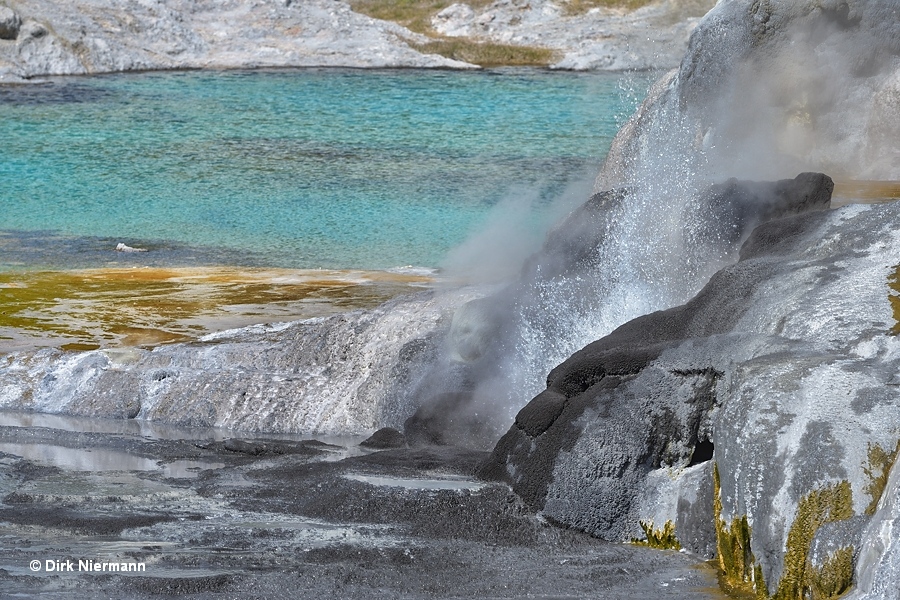 Kereru Geyser at Te Puia