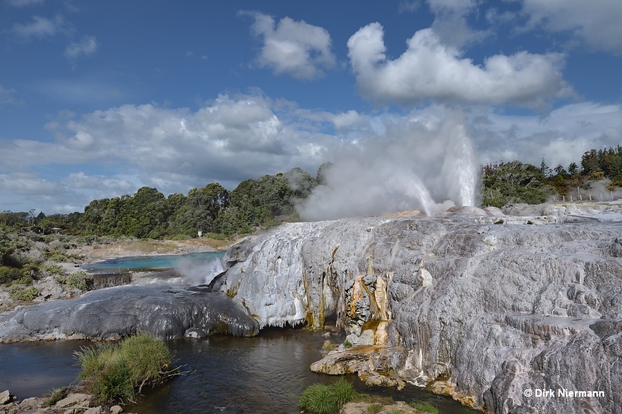 Geysers on Whakarewarewa Sinter Terrace