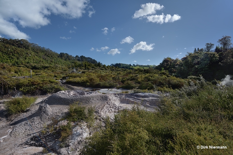 Ngāpuna tokatoru