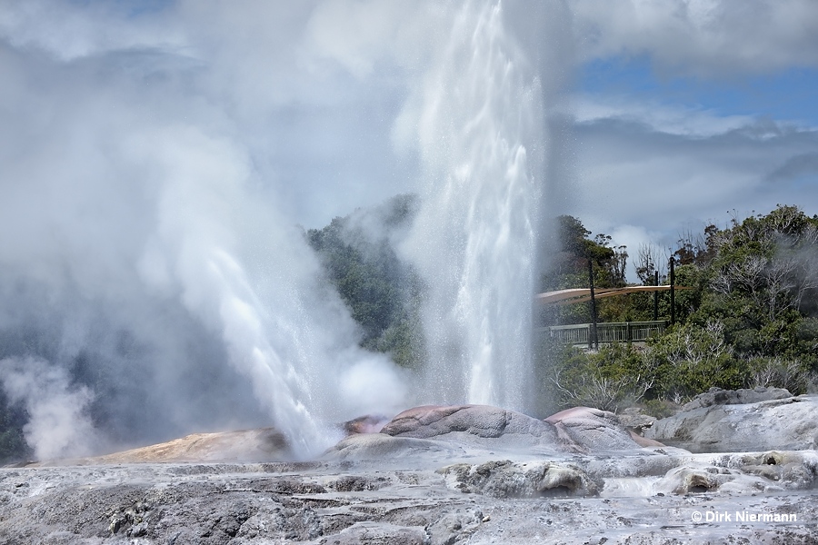 Pōhutu Geyser erupting