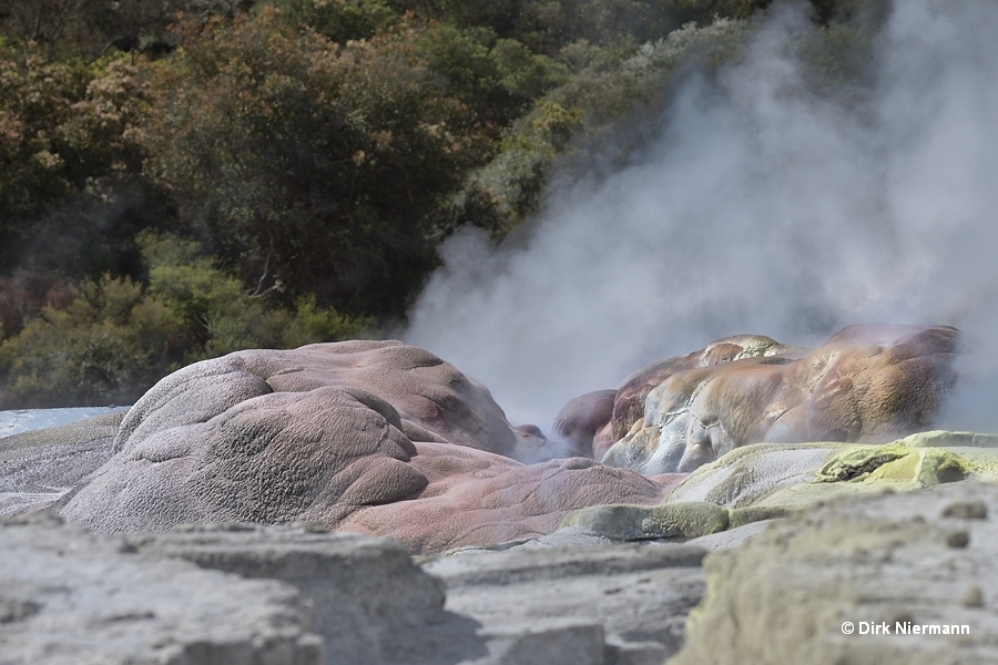 Orifice of Pōhutu Geyser