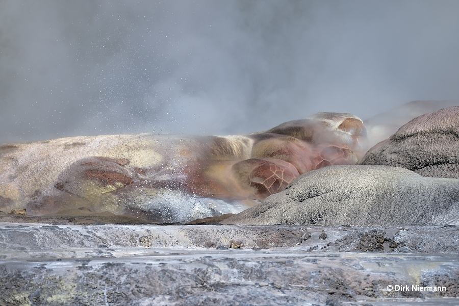 Prince of Wales Feathers Geyser